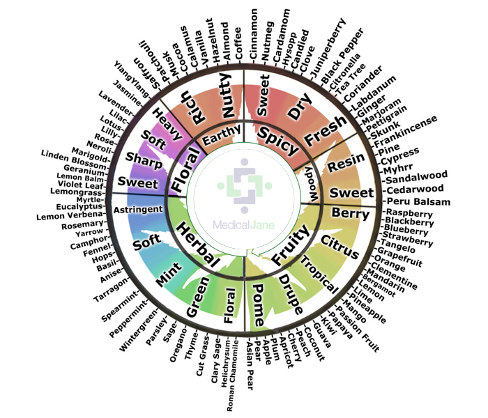 Terpenes Wheel