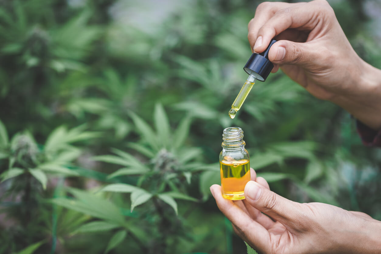 Person holding a tincture bottle in front of marijuana plants