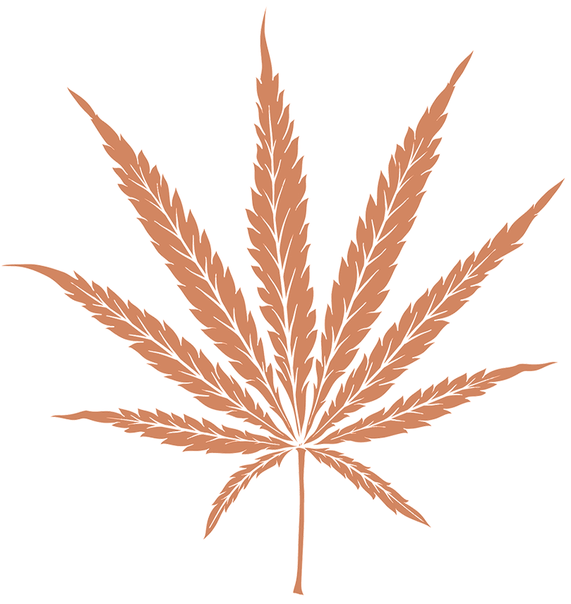 Marijuana Leaf